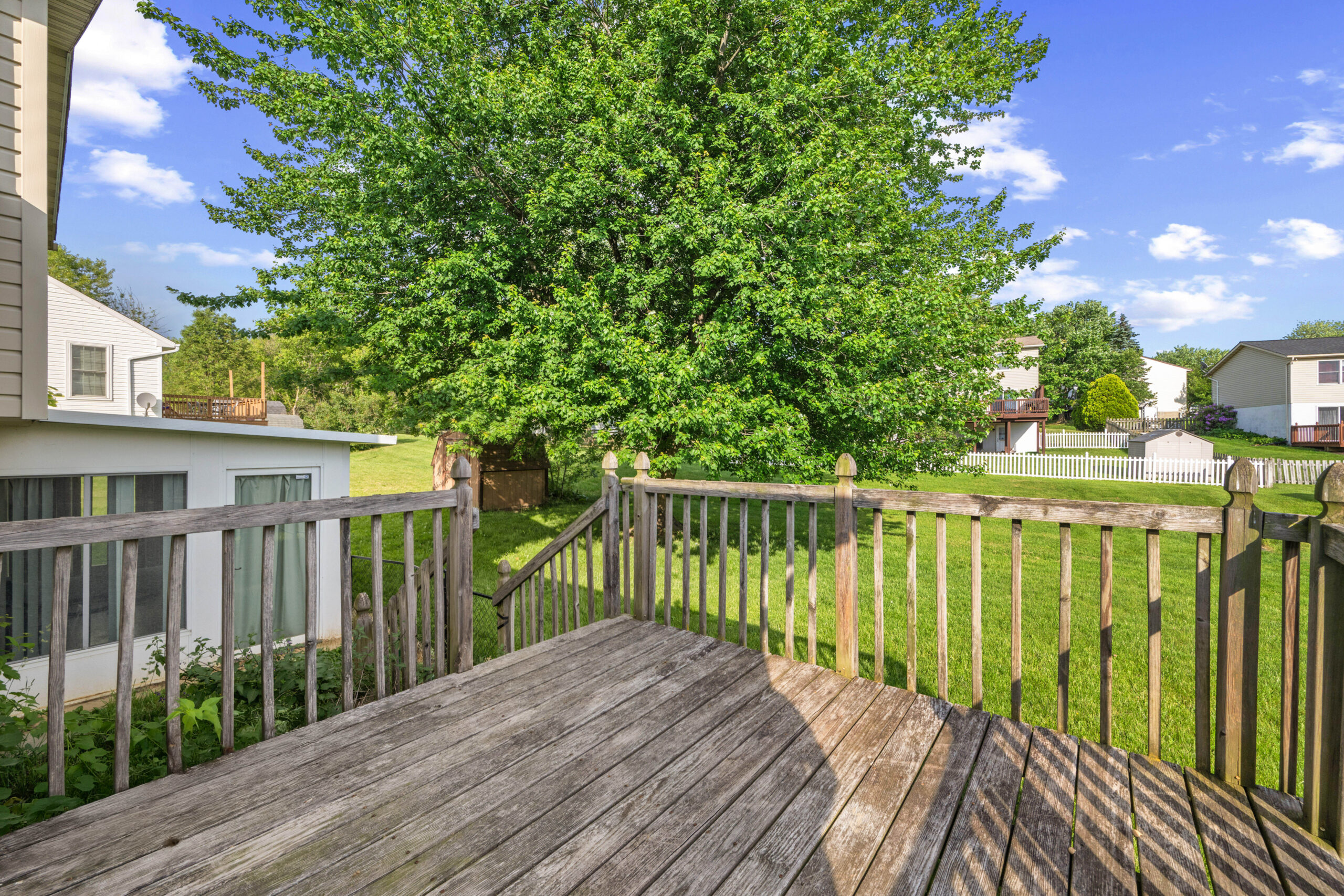 Your Home Sold Guaranteed Realty - Vinny Steo