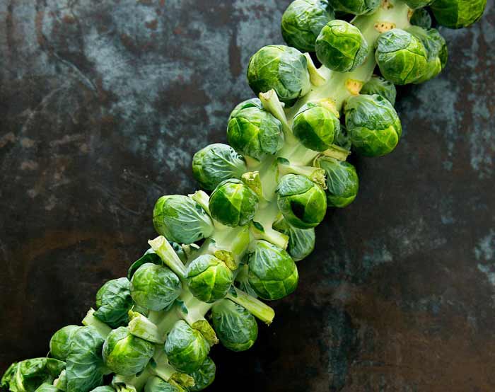 Food Tip of the Week: Brussels Sprouts
