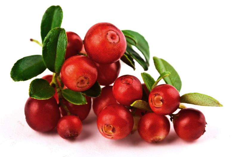 Food tip of the Week: Cranberries